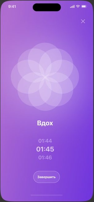 Экран приложения Sezapp