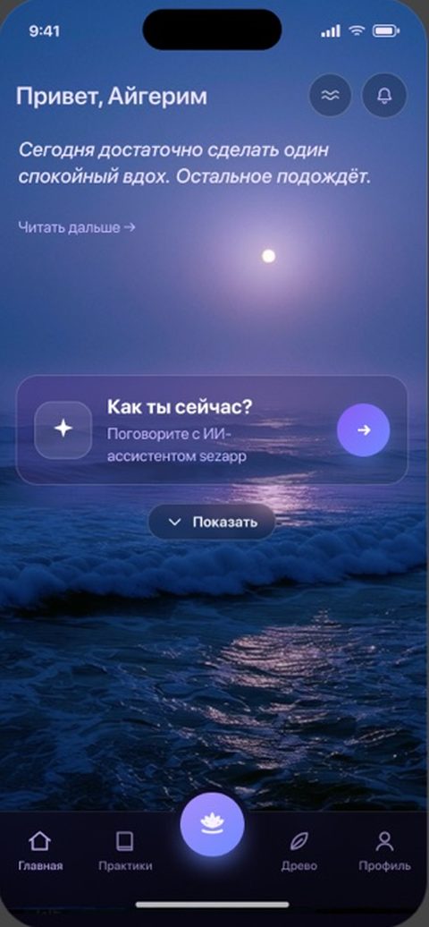 Экран приложения Sezapp